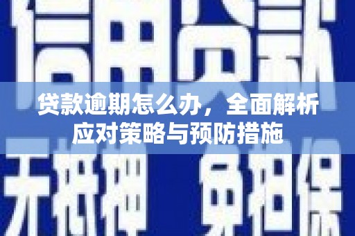 天元贷款逾期怎么办，全面解析应对策略与预防措施