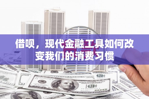 天元借呗，现代金融工具如何改变我们的消费习惯