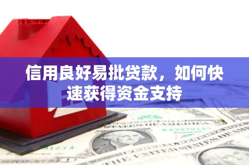 天元信用良好易批贷款，如何快速获得资金支持