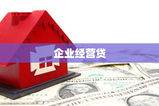 天元企业经营贷