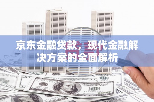 天元京东金融贷款，现代金融解决方案的全面解析