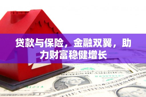 天元贷款与保险，金融双翼，助力财富稳健增长