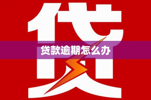 天元贷款逾期怎么办