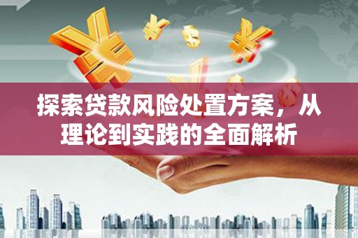 天元探索贷款风险处置方案，从理论到实践的全面解析