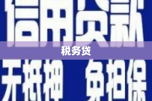 天元税务贷