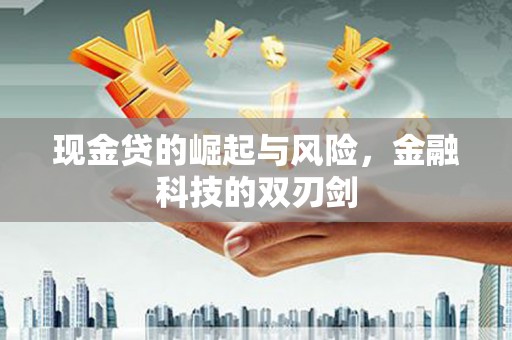 天元现金贷的崛起与风险，金融科技的双刃剑