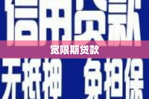 天元宽限期贷款