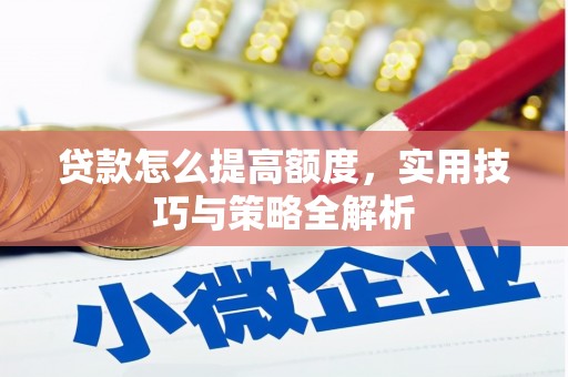 天元贷款怎么提高额度，实用技巧与策略全解析