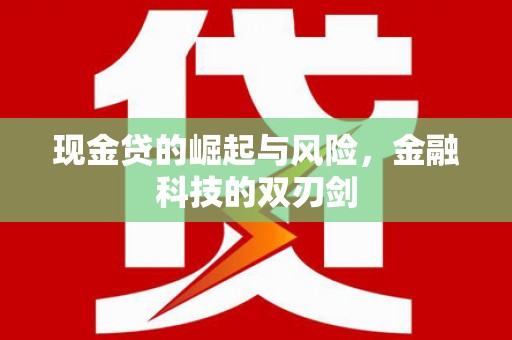 天元现金贷的崛起与风险，金融科技的双刃剑