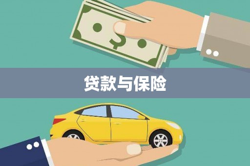天元贷款与保险