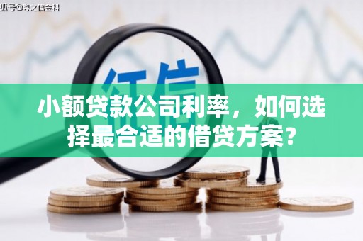 天元小额贷款公司利率，如何选择最合适的借贷方案？