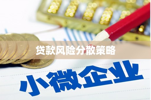 天元贷款风险分散策略
