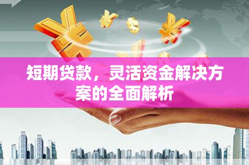 天元短期贷款，灵活资金解决方案的全面解析