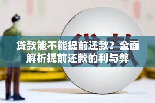 天元贷款能不能提前还款？全面解析提前还款的利与弊