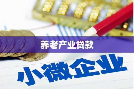 天元养老产业贷款