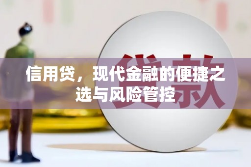 天元信用贷，现代金融的便捷之选与风险管控