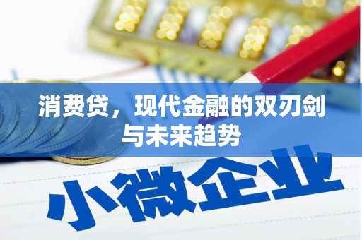 天元消费贷，现代金融的双刃剑与未来趋势