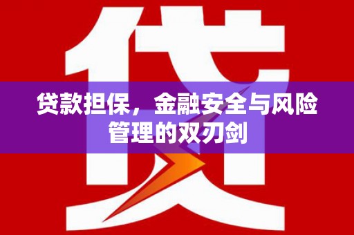 天元贷款担保，金融安全与风险管理的双刃剑