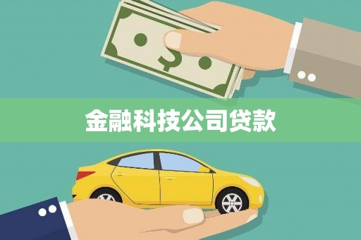 天元金融科技公司贷款
