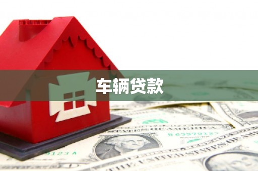 天元车辆贷款