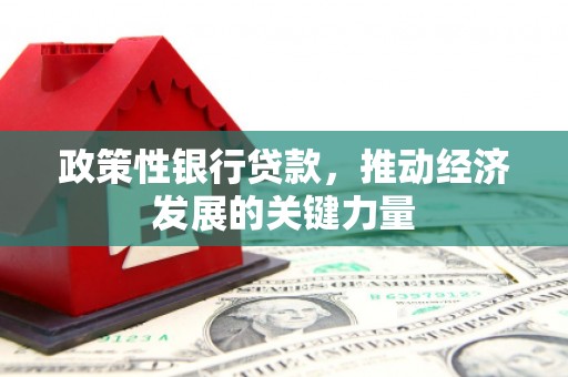 天元政策性银行贷款，推动经济发展的关键力量