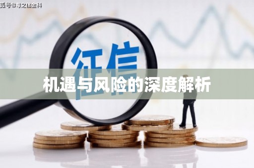 天元机遇与风险的深度解析