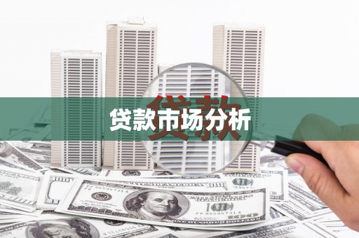 天元贷款市场分析