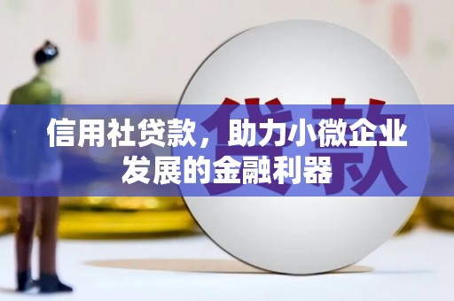 天元信用社贷款，助力小微企业发展的金融利器