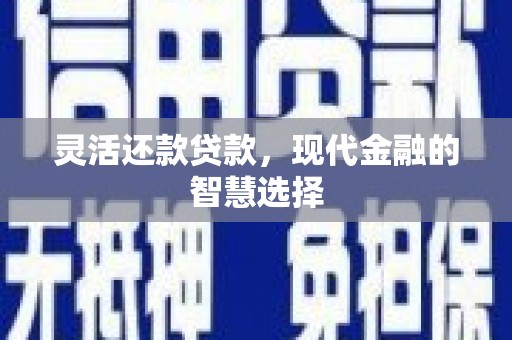 天元灵活还款贷款，现代金融的智慧选择