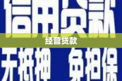 天元经营贷款