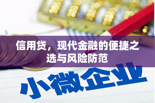 天元信用贷，现代金融的便捷之选与风险防范