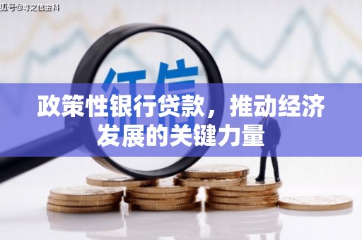 天元政策性银行贷款，推动经济发展的关键力量