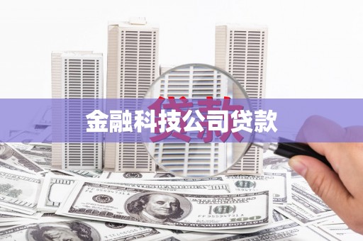 天元金融科技公司贷款