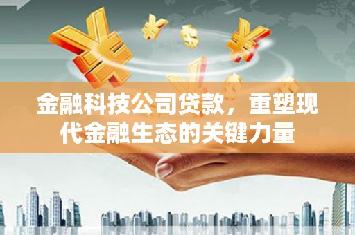 天元金融科技公司贷款，重塑现代金融生态的关键力量