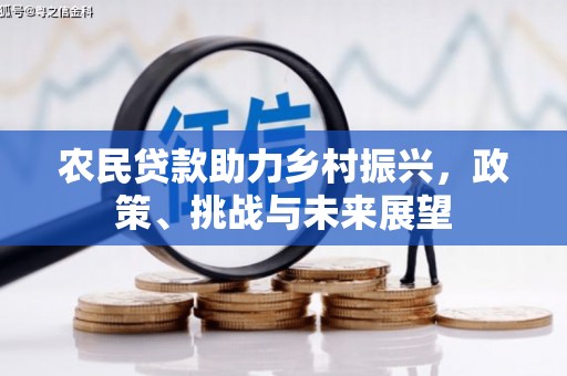 天元农民贷款助力乡村振兴，政策、挑战与未来展望