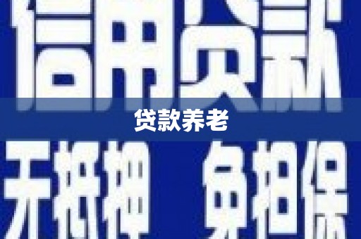天元贷款养老