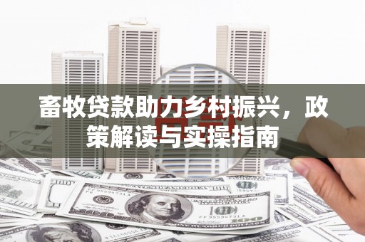 天元畜牧贷款助力乡村振兴，政策解读与实操指南