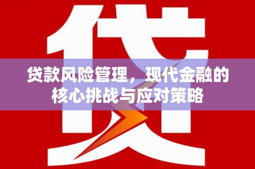 天元贷款风险管理，现代金融的核心挑战与应对策略