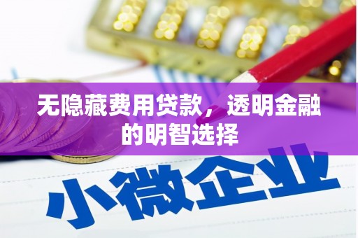 天元无隐藏费用贷款，透明金融的明智选择