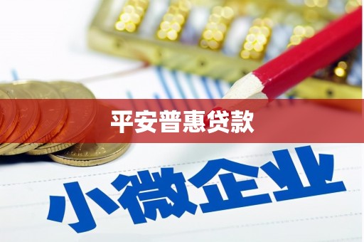 天元平安普惠贷款
