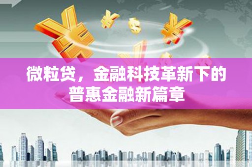 天元微粒贷，金融科技革新下的普惠金融新篇章