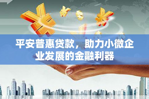 天元平安普惠贷款，助力小微企业发展的金融利器