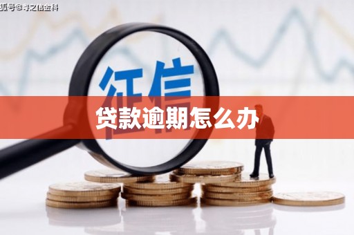 天元贷款逾期怎么办