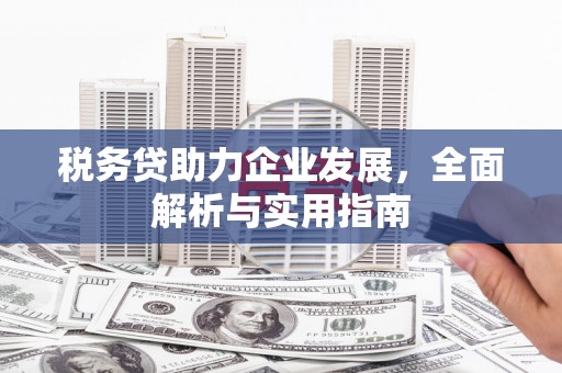 天元税务贷助力企业发展，全面解析与实用指南