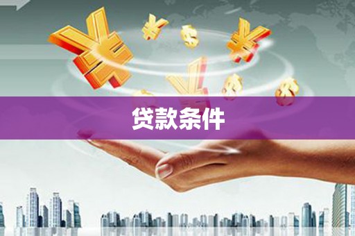 天元贷款条件