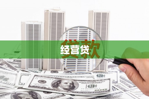 天元经营贷