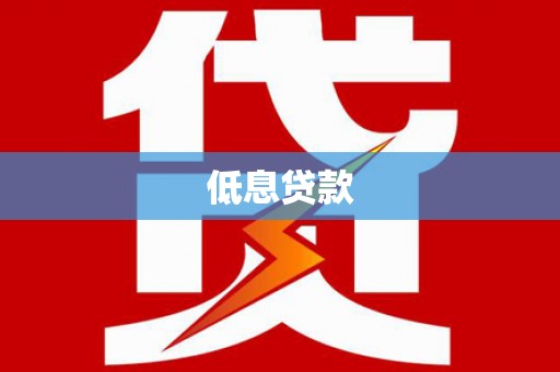 天元低息贷款