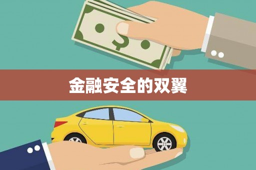 天元金融安全的双翼