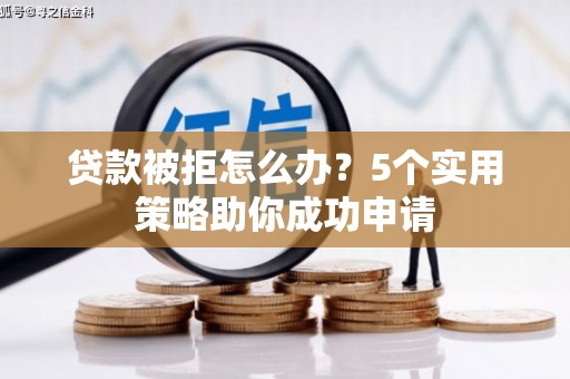 天元贷款被拒怎么办？5个实用策略助你成功申请