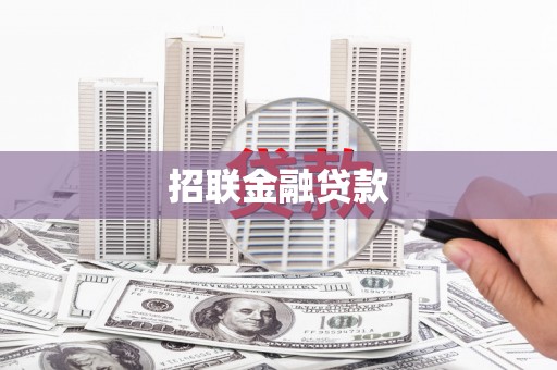 天元招联金融贷款